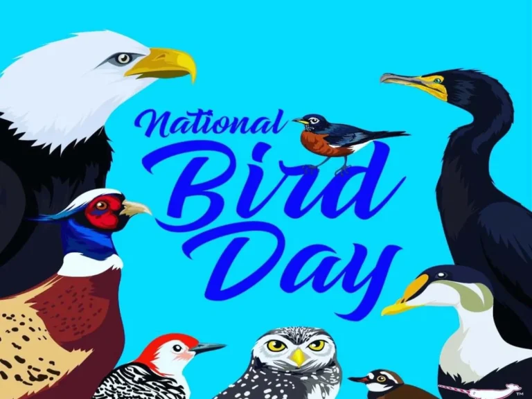 National Birds Day 2024